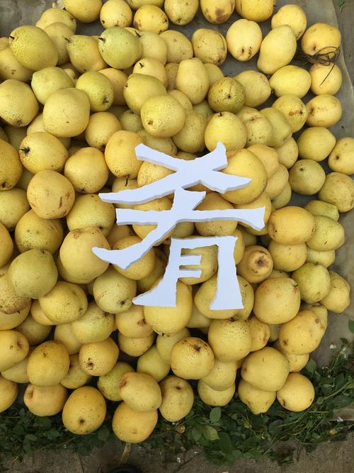 云海肴一七艺术展之米线工厂里的艺术展